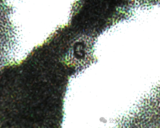 ͼƬ